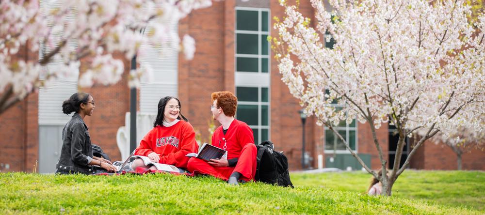 Students studying out on the lawn